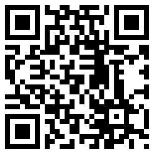 扫码下载发票生成器