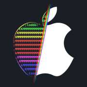 RootHide 巨魔版清理var工具